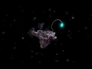 animation-7